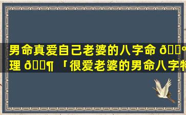 男命真爱自己老婆的八字命 🌺 理 🐶 「很爱老婆的男命八字特征」